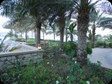 UAE_0105